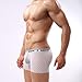 Dominik Men's Sheer Mesh See-Through Boxer Trunks
