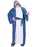 41Y G83sXRL. SL160  Chic Sheik Costume Plus Size Adult