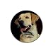Labrador Retriever Lab Rubber Round Coaster (4 pack)