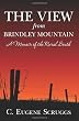 The View from Brindley Mountain: A Memoir of the Rural South