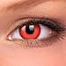 41Y SVCF1yL. SL75  A Guide To Buying Colored Contact Lenses