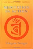 Meditation in Action