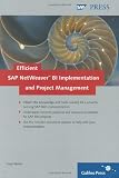 Efficient SAP NetWeaver BI Implementation and Project Management