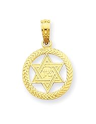 14k Yellow Gold Star of David in Circle Pendant