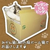ドリーム にゃんともあったか湯たんぽ