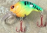 JLVLures Shallow Crankbait Chili Pepper Tiger : Diver Lures JLV Freshwater Smallmouth Steelhead Pike Salmon Trout Perch Whiper Mid Depth Walleye Casting Bass Hook Treble Red Boat Dock Brook Bay Little Stump River Trolling Weed Surface Topwater Shad