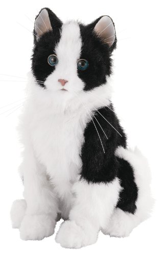 Cover image : 夢ねこスマイル ブチ黒