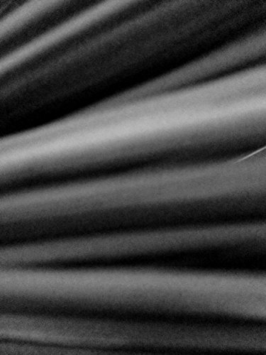 Line on noise (Italian Edition)