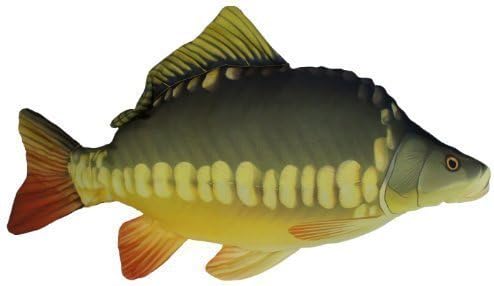 Novelty Fish Pillow/Cushion**5 Species** Carp, Brown Trout, Perch, Pike and Atlantic Salmon**Fishing Present Xmas Fishing Present Toy (Carp) by Gaby