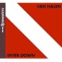 Diver Down