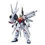 1/100 �j�N�X�v�����B�f���X�K���_��