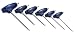 SK Hand Tools 78001 6-Piece T-Handle Torx Key Set
