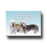 Dandie Dinmont Can't Have Just One Fridge Magnet