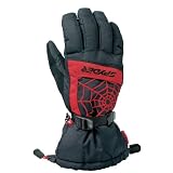 Spyder Over Web Ski Glove (Men's)