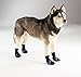 Guardian Gear Oxford Boots for Dogs, XXXS, Blue