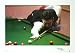 The Whirlwind - signed by Jimmy White