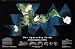 Earth - Fuller Projection From Space