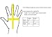 Protexgloves Original Gloves (Sahara, Medium)