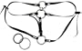 Sportsheets Menage a Trois Harness with Dildo