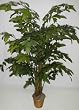 7 1/2' Deluxe DOUBLE Fishtail Palm Tree