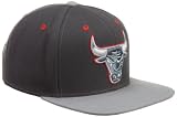 NBA Men's Graystone Flat Brim Snapback Hat (Chicago Bulls, Adjustable) light grey