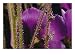 Close-up of the Reed-Like Stems and Flower of a Byblis Plant Art Photographic Poster ...