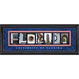 Florida Gators Letter Art
