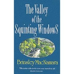 The Valley of the Squinting Windows