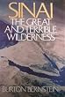 Sinai: The Great and Terrible Wilderness