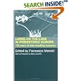 Living on the Lake in Prehistoric Europe: 150 Years of Lake-Dwelling Research by F. Menotti