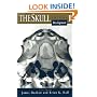 The Skull, Volume 1: Development