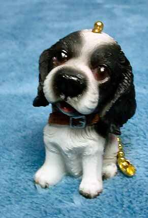 image link - - B000T5SKDK