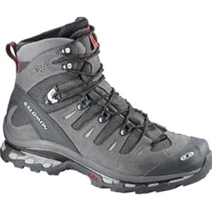Salomon 2014 Men's Quest 4D GTX� Backpacking Shoe (Autobahn/Black/Flea - 9)