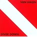 Diver Down