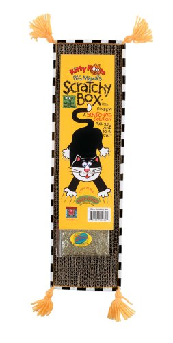 Childrens Toyshop  Pet Supplies : Fat Cat Kitty Hoots Big Mama's Scratchy Box Slim Purple