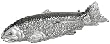 Arthur Court Salmon 19-Inch Oblong Tray