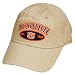 NCAA AU AUBURN TIGERS KHAKI STONE TAN VELCRO CAP HAT