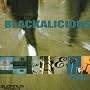 A2g Ep