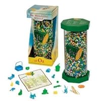 Wizard of Oz Find It Brain Teaser Game