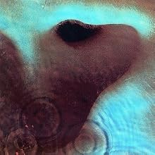 Meddle