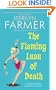 The Flaming Luau of Death: A Madeline Bean Culinary Mystery (Madeline Bean Mysteries)