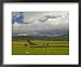 Dry Stone Walls Below the Pennines, Eden Valley, Cumbria, England, United Kingdom Collections Framed Art Poster Print by James Emmerson, 22x18