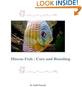 Discus Fish 