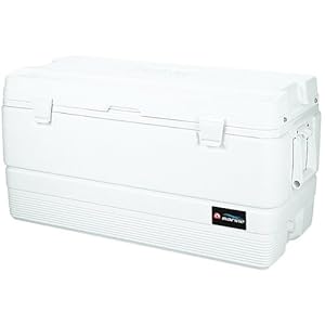 igloo cooler 94