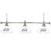 NBA Atlanta Hawks 3 Shade Billiard Lamp (60-Inch)