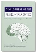 Development of the Prefrontal Cortex