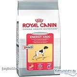 Royal Canin 35106 Energy4800 15 kg – Hundefutter