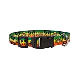 Yellow Dog Design Standard Collar, Medium, Rasta