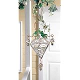 Dew Drop Plant Rooter by SohoDecor