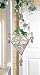 Dew Drop Plant Rooter